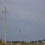 Участок для питомника.